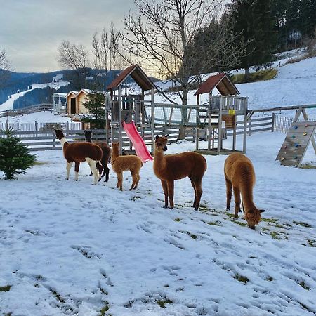 Laubichlhof Apartman Flachau Kültér fotó