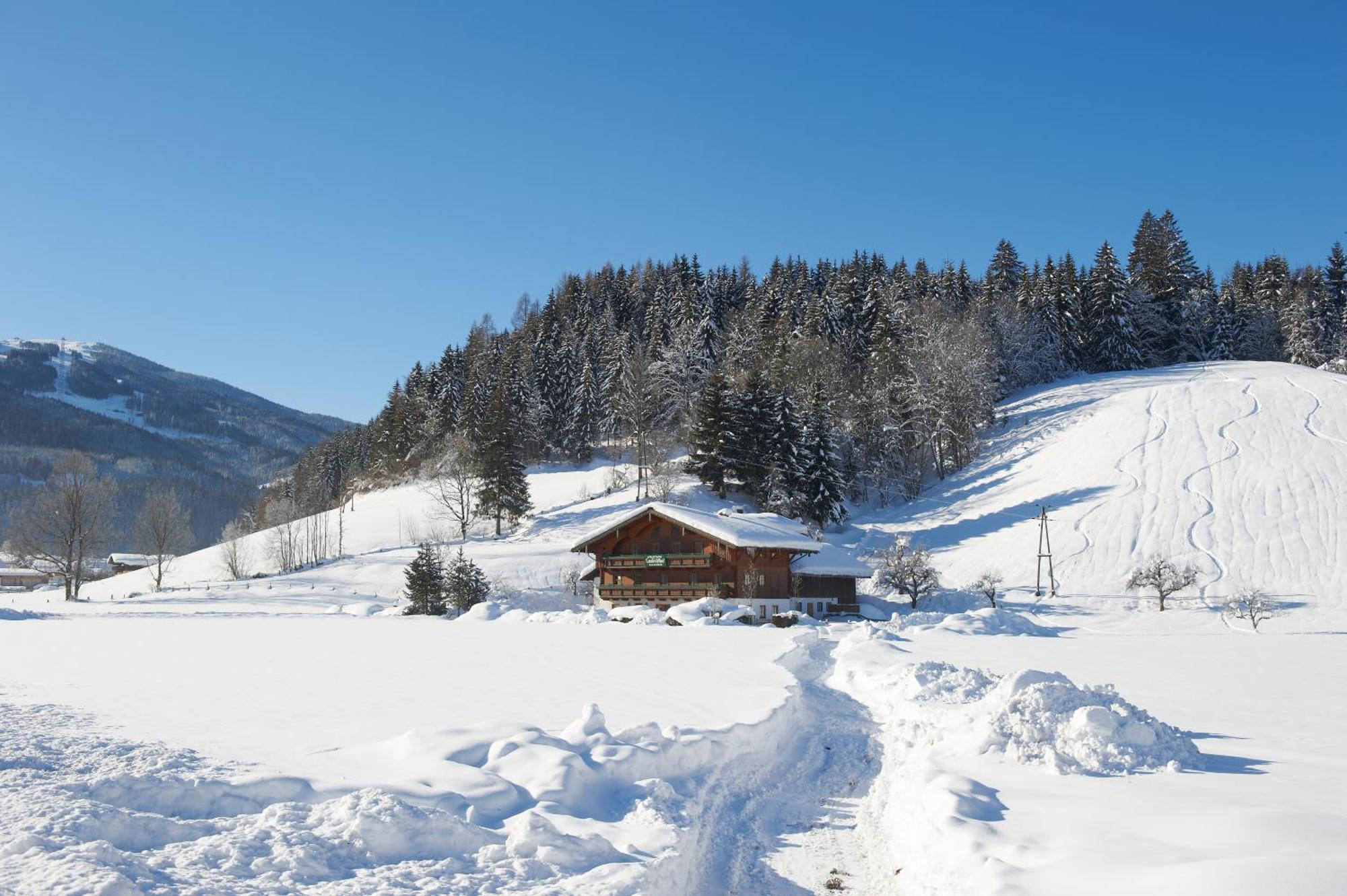 Laubichlhof Apartman Flachau Kültér fotó