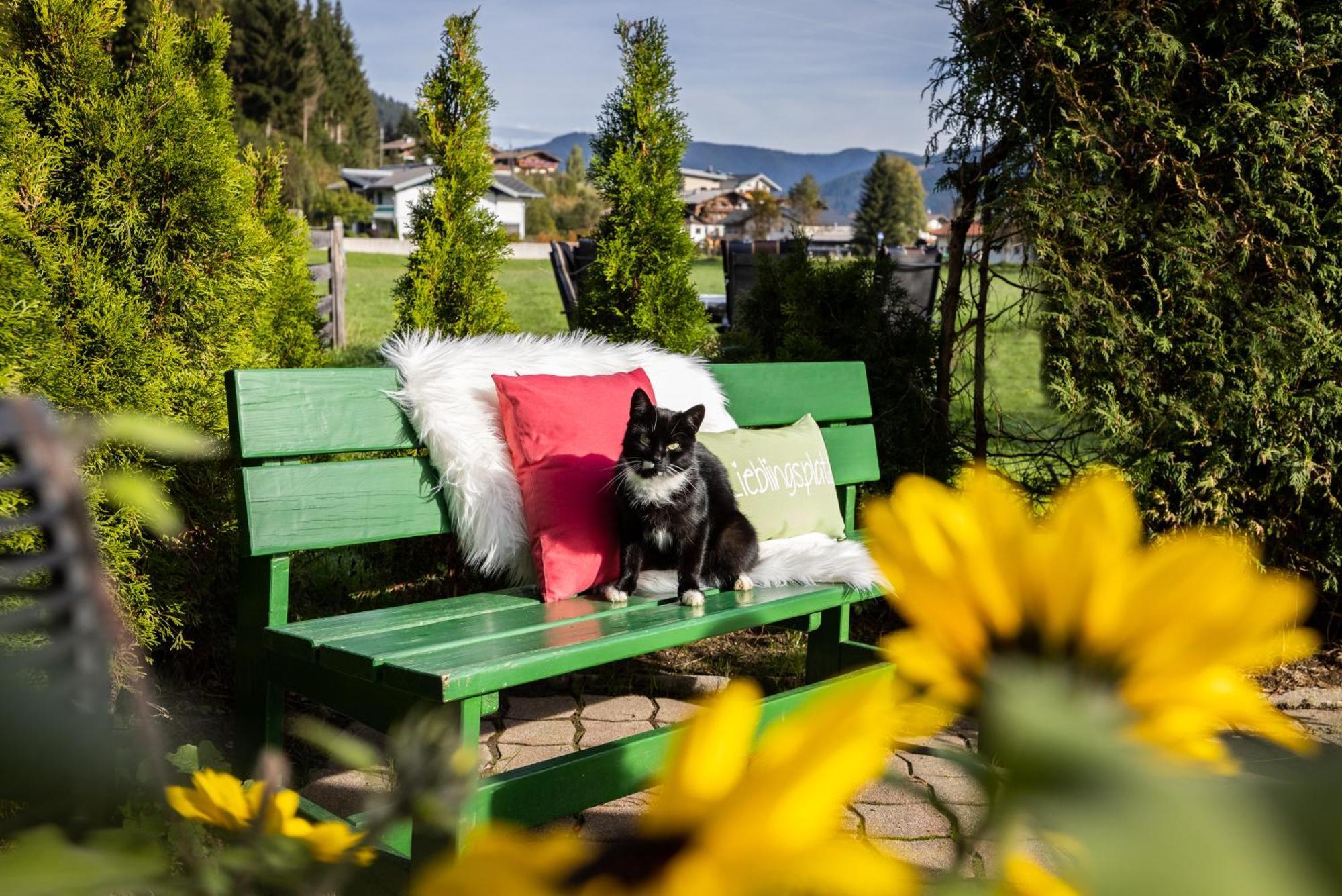 Laubichlhof Apartman Flachau Kültér fotó