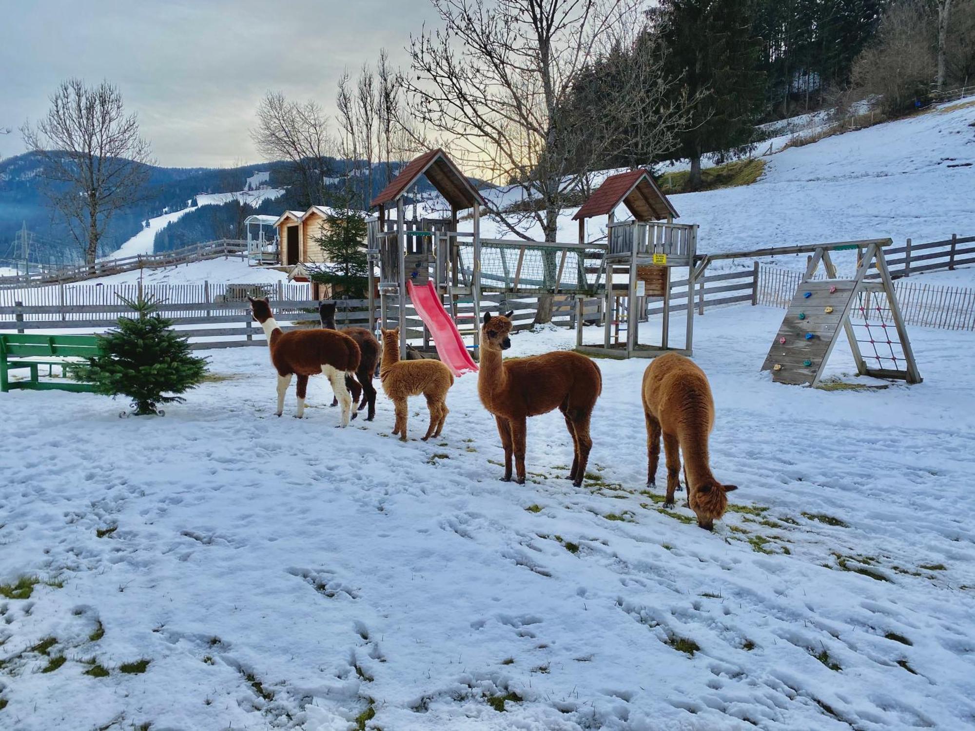 Laubichlhof Apartman Flachau Kültér fotó
