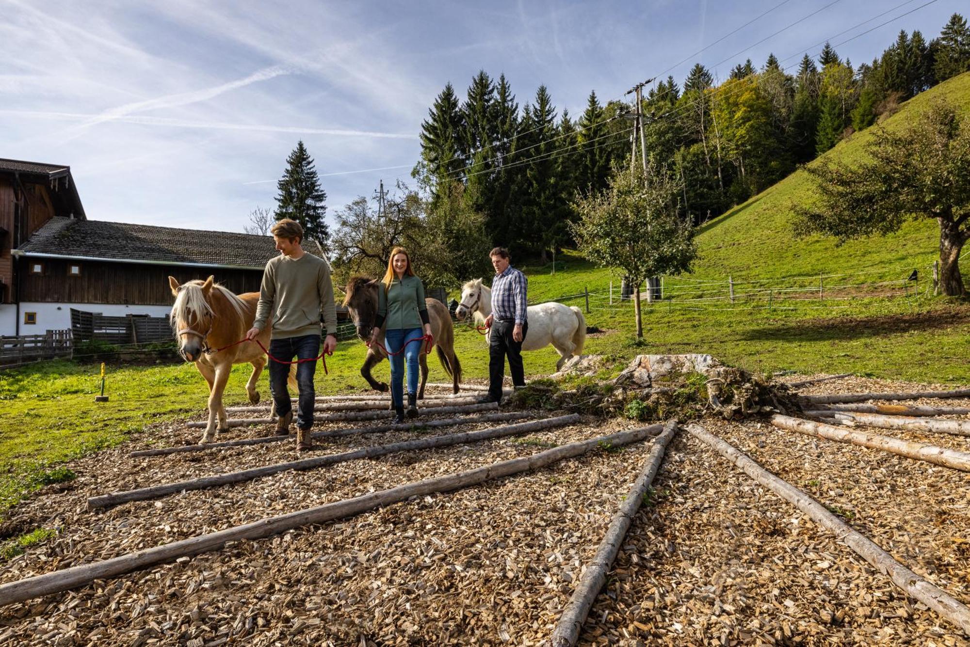 Laubichlhof Apartman Flachau Kültér fotó