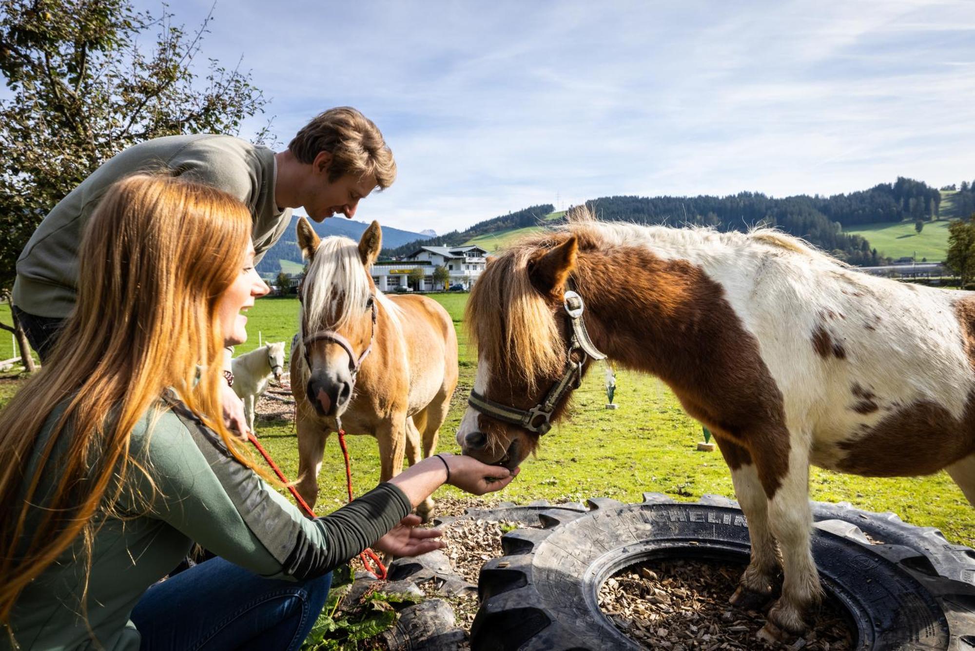 Laubichlhof Apartman Flachau Kültér fotó