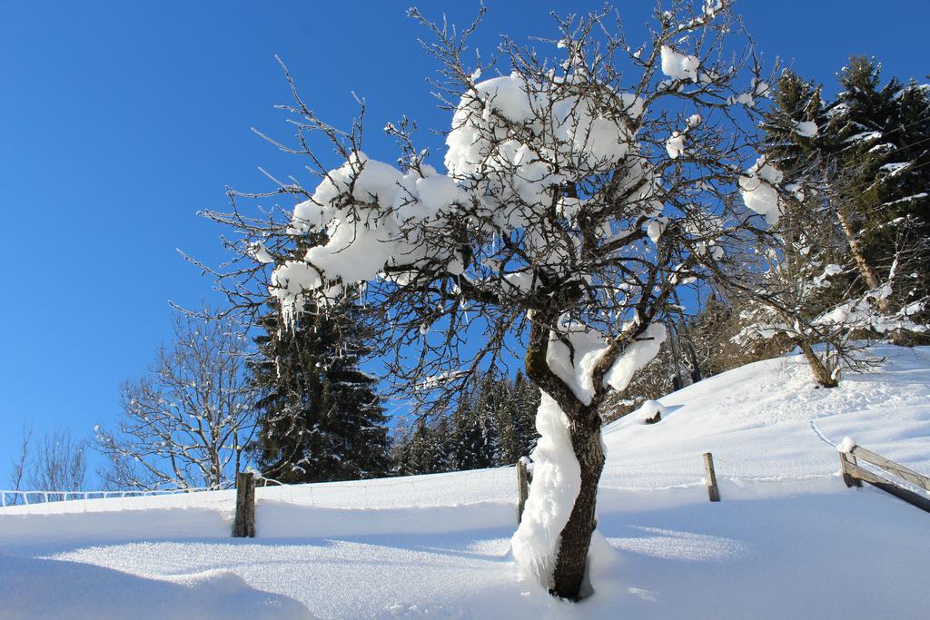 Laubichlhof Apartman Flachau Kültér fotó