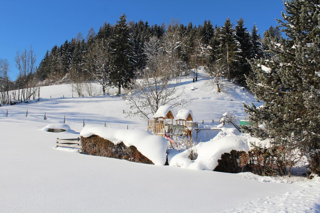 Laubichlhof Apartman Flachau Kültér fotó